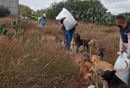 En Huichapan, Hidalgo, jóvenes apoyarán un refugio de animales