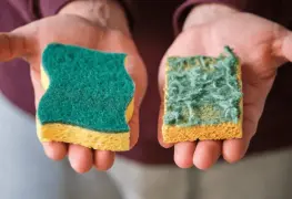 De esta manera evitarás tener un cultivo de gérmenes en casa