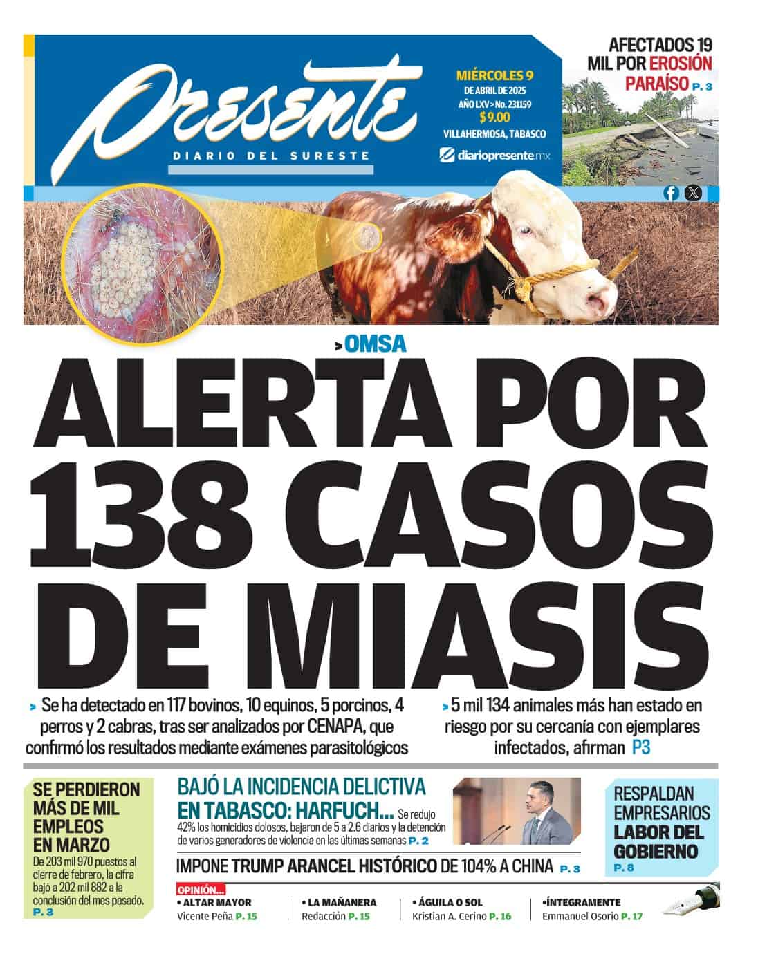 Titulo