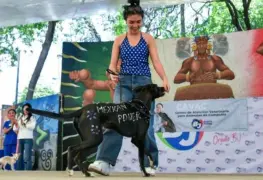 En la Ciudad de México se llevó acabo la jornada de adopción animal