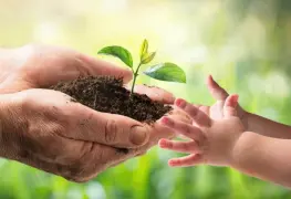 Tipps para proteger el medio ambiente