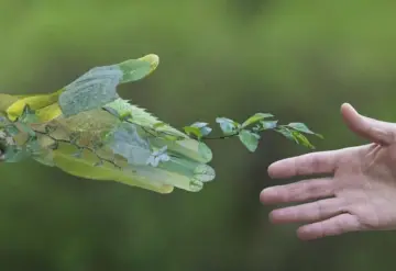 Menos basura, más futuro.