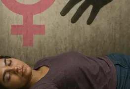 Feminicidio en México (V)