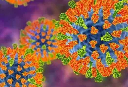 México lanza advertencia de viaje ante brotes de sarampión en Estados Unidos y Canadá