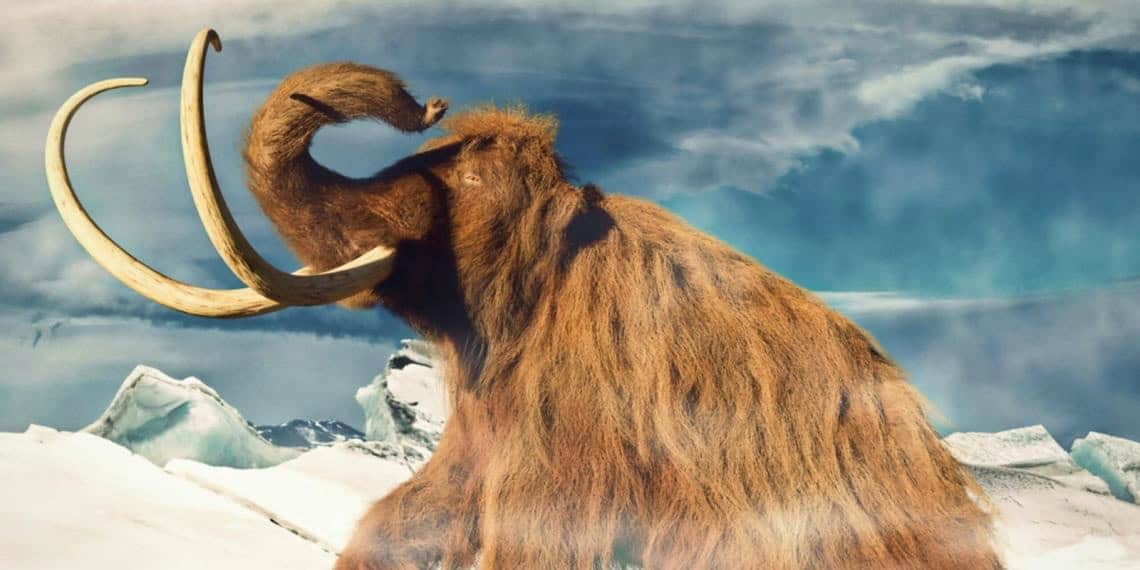 El mamut vuelve a la vida