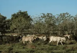 México a la alza, EU a la baja.