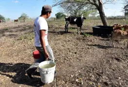 Padecen sequía once municipios.