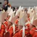Cardenales del vaticano llamados a la unidad.