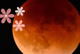 Renovación y abundancia