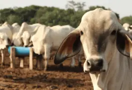 Mal momento para Durango.