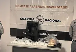 Droga oculta en bocina