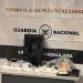 Droga oculta en bocina