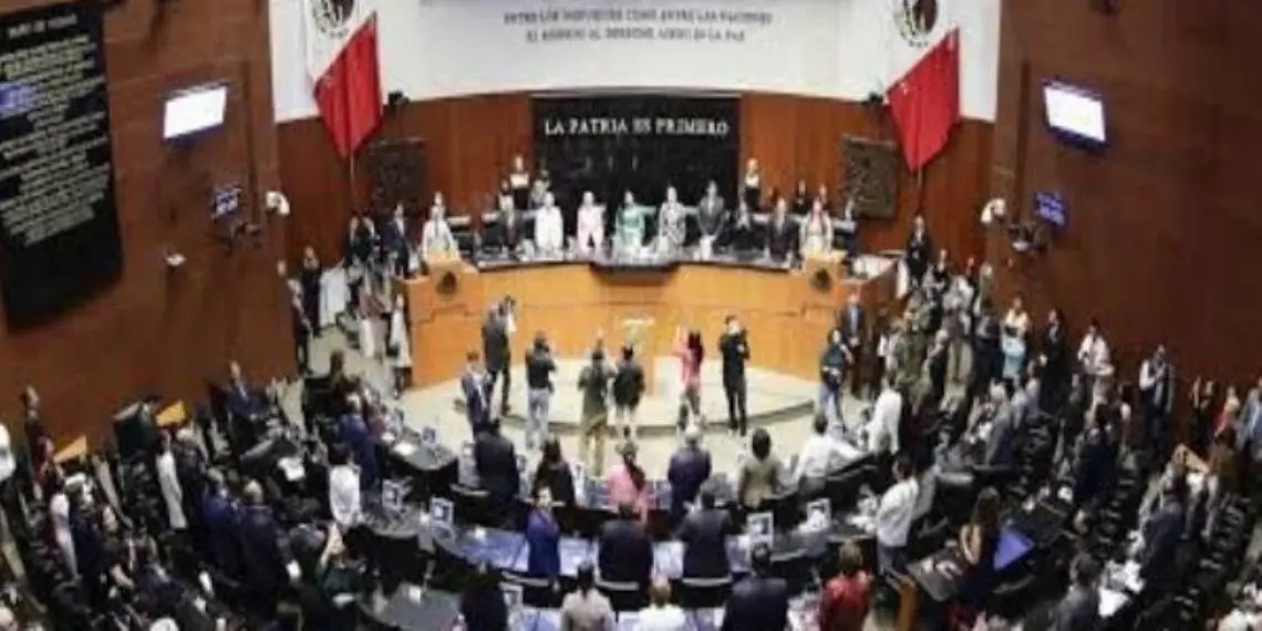 El Senado rechaza arancel a remesas