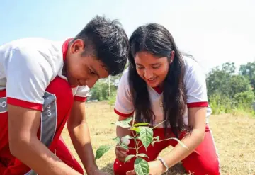 Jornada nacional de Tequios por la paz y contra las adicciones en el país