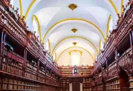 ¿Y si pensáramos la biblioteca como un burdel?