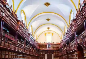 ¿Y si pensáramos la biblioteca como un burdel?