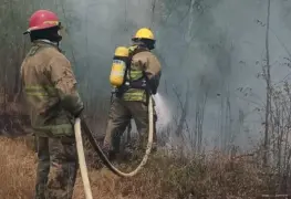 Repuntan incendios.