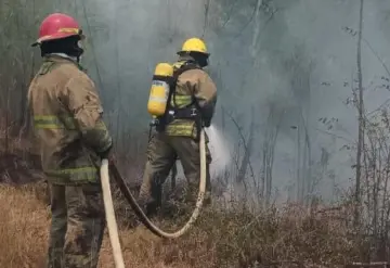 Repuntan incendios.