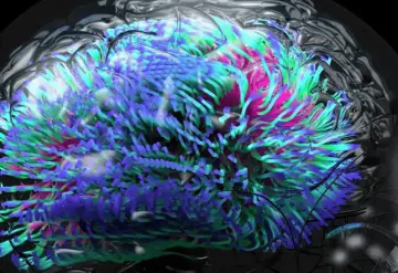 Microplásticos y su posible vínculo con trastornos mentales.