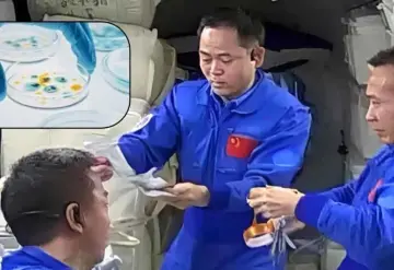 Vida adaptada al espacio