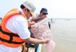 Avanza Pescando Vida 80 por ciento.