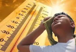 OBSERVATORIO DE DATOS