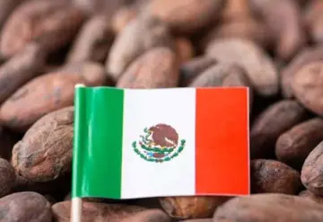 Certificación ambiental