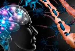 Observatorio de datos