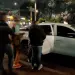 Golpe al tráfico de especies.