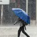 Onda Tropical  traerá lluvias intensas.
