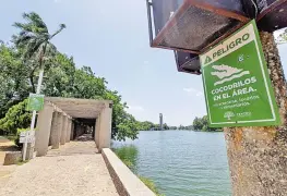 Convoca Centro a participar en el Segundo Concurso de Señalética de Cocodrilo 2025