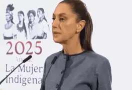 Sheinbaum exige a EEUU respeto tras arrestos en Los Ángeles .