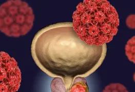 OBSERVATORIO DE DATOS