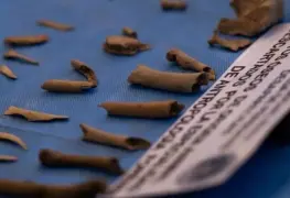 Sin tecnología en el país