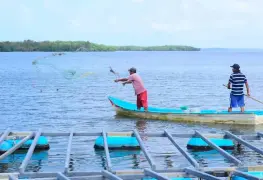 Tabasco será líder en producción.