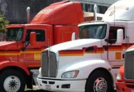 Sector transporte avanza con firmeza