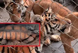 Sin documentación ni condiciones dignas