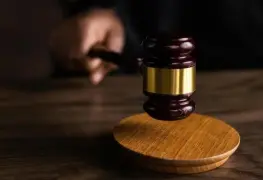 Nueva figura judicial