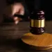 Nueva figura judicial
