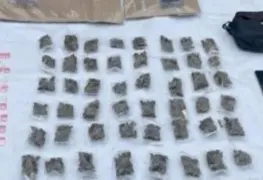 Acciones firmes por la paz