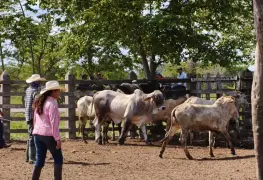 Crédito Ganadero a la Palabra