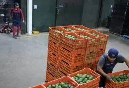 EE.UU. endurece medidas