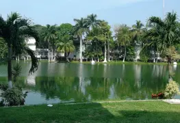 IP no ha invadido a "las ilusiones"