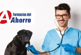 Consulta veterinaria sin costo desde casa