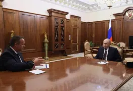 ¿Suicidio o presión política?