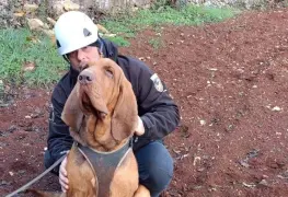 Indignaci&oacute;n en Italia por fallecimiento de Bruno, perro h&eacute;roe