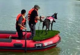 México al rescate en Texas