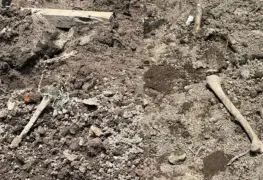 Autoridades investigan misterioso hallazgo