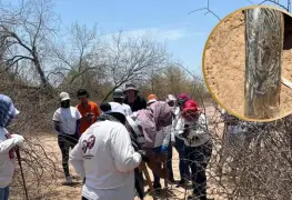 Hallazgo de cuerpos sin vida en Sonora durante b&uacute;squeda