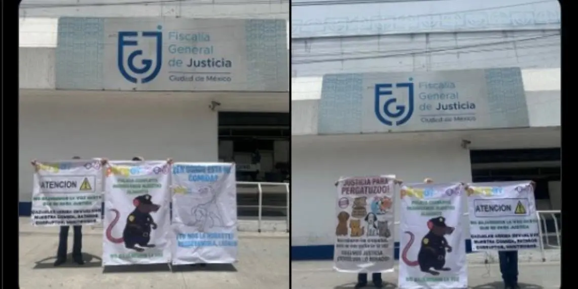 Albergue Pergatuzoo denuncia extorsión del CJNG